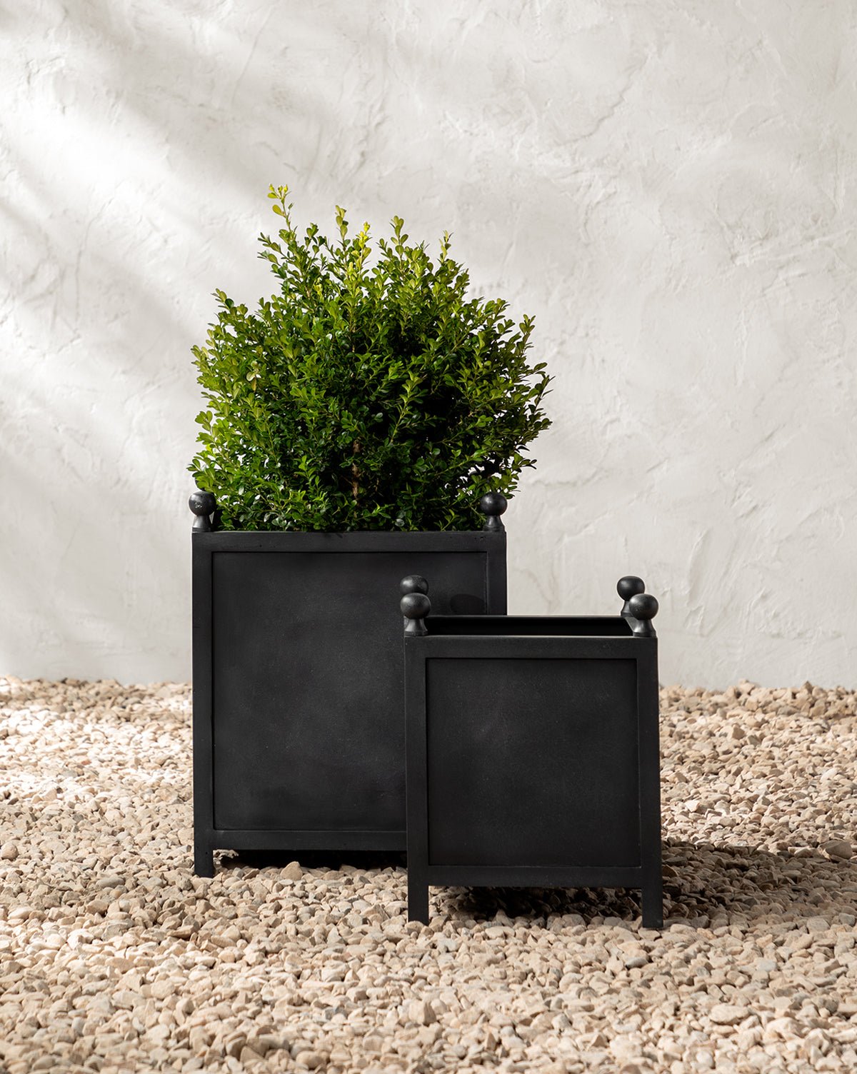 clariance planter clariance planter