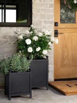 import placeholder for 14899347